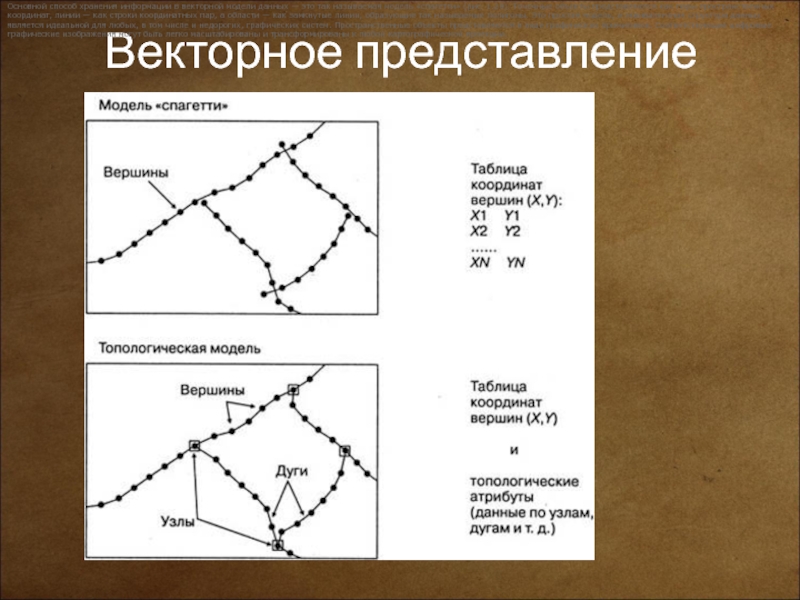 Графическая модель данных. Векторная модель данных в ГИС. Векторная топологическая модель данных. Векторное представление данных. Векторная модель пространственных данных.