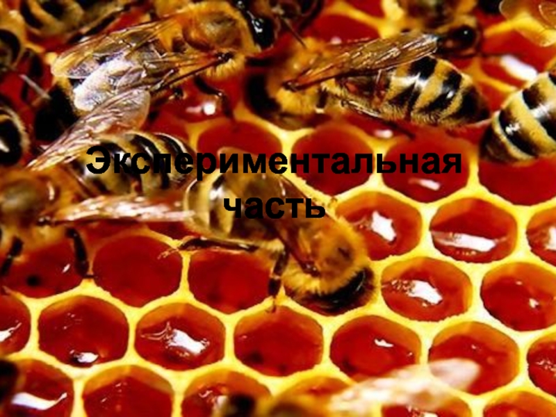 ТЕСТИРОВАНИЕ ЭКСПРЕСС-МЕТОДОВ ОПРЕДЕЛЕНИЯ ФАЛЬСИФИКАЦИИ МЕДА Экспериментальная часть Экспериментальная часть