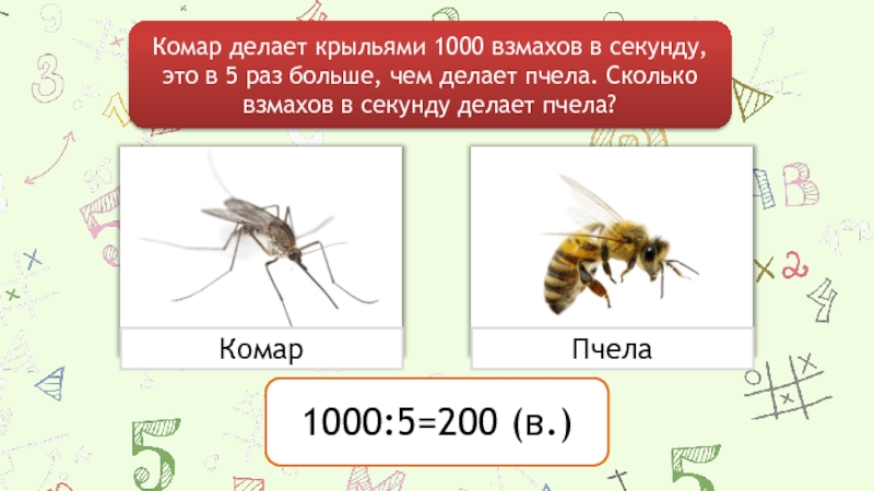 Сколько взмахов в секунду. Сколько взмахов в секунду делает пчела. Сколько взмахов в секунду делает пчела крыльями. Комар и пчела. Сколько взмахов крыльев у комара в секунду.