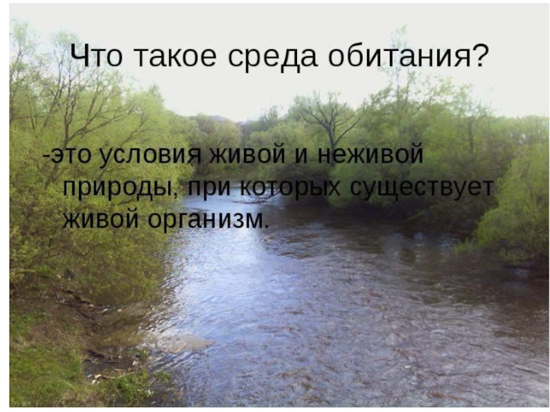 Среда обитания это. Чтотакое реда обитания. Что тааое среда обитаеи. Что такоео средабетание. 3 Среды обитания.