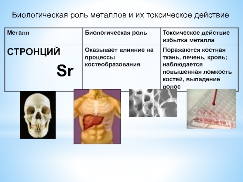 Избыток металла. Биологическая роль металлов таблица. Биологическое значение металлов. Роль металлов в медицине. Роль металлов в живых организмах.