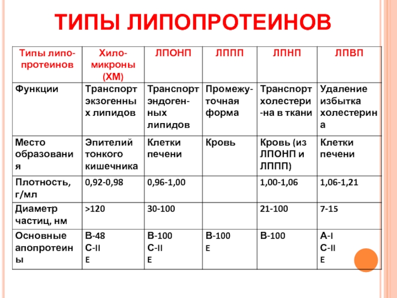 Бета липопротеины повышены