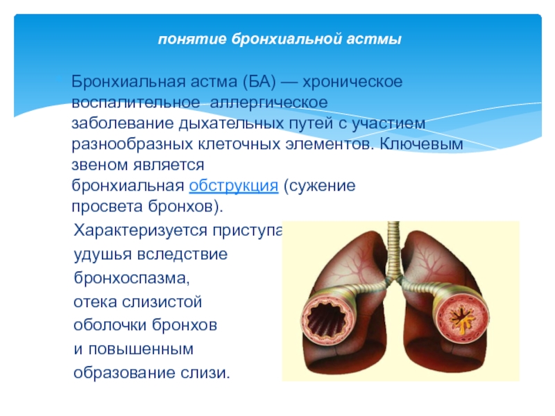 Презентация бронхиальная астма дипломная работа