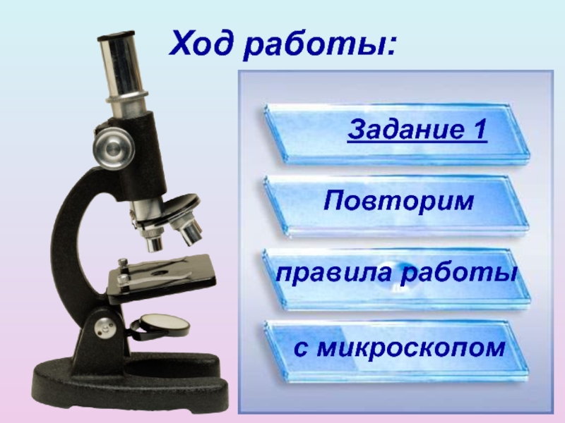 Работа с микроскопом. Ход работы с микроскопом. Ход работы с микроскопом и многоклеточного организма. Повторить правила работы с микроскопом.. Повтори правила работы с микроскопом.