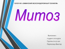 Митоз 