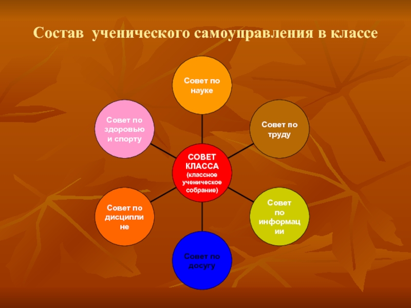 Проект ученическое самоуправление