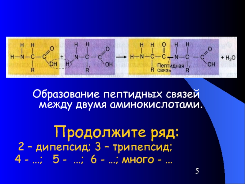 Аминокислоты 2 вариант. Пептидная связь между двумя аминокислотами.