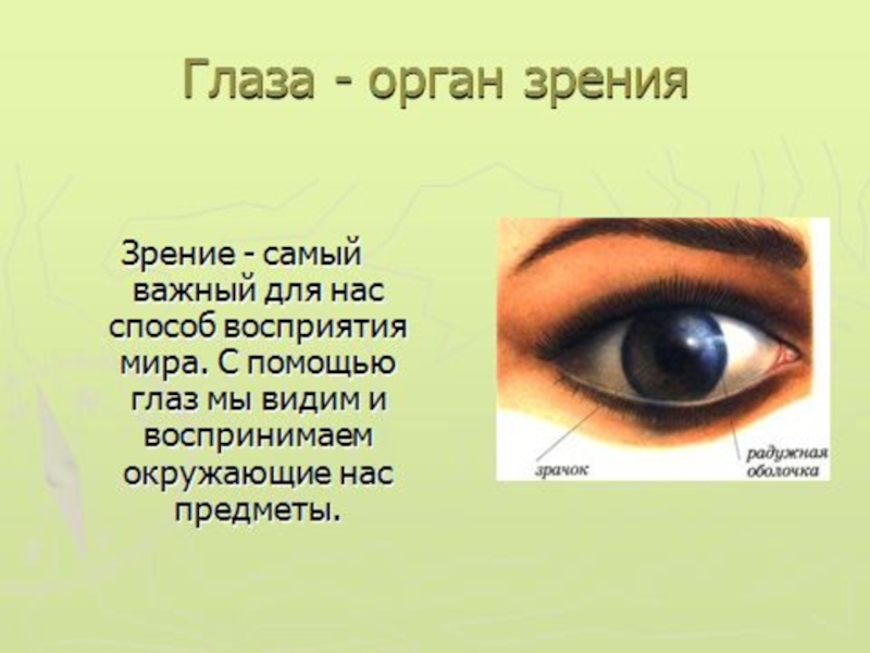 Конспект с презентацией урока органы чувств 3 класс с презентацией