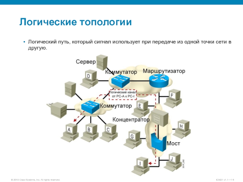 Проект сети это