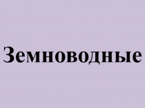 Земноводные