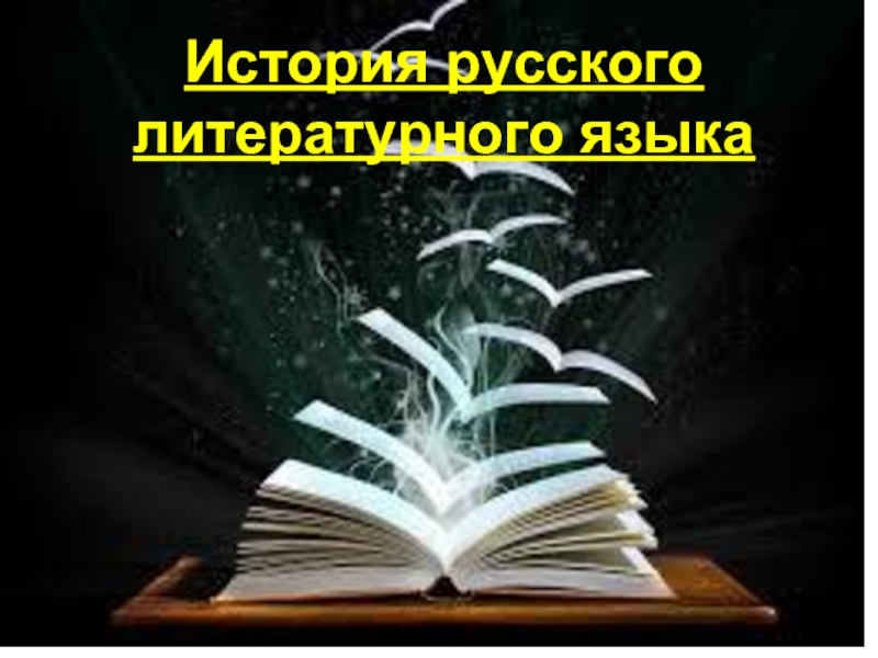 Презентация История русского литературного языка