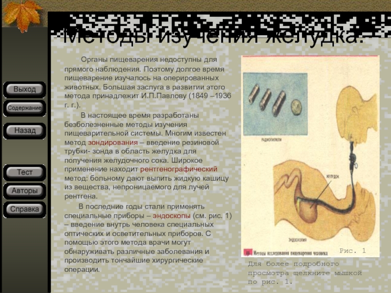 Методы изучения органов пищеварения биология. Методы изучения желудка. Способы изучения пищеварительной системы. Методы исследования пищеварительной системы. Исследования функций желудка Павлов.