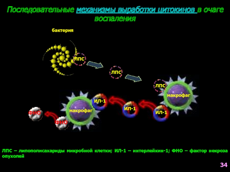 Цитокиновый шторм картинки