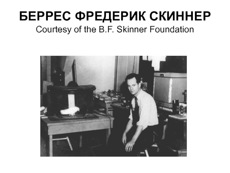 Беррес Фредерик Скиннер презентация. Создатель вал Беррес. Фредерик Скиннер книги.