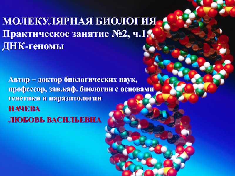 МОЛЕКУЛЯРНАЯ БИОЛОГИЯ Практическое занятие № 2, ч.1. ДНК-геномы