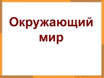 Окружающий мир