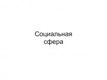 Социальная сфера 11 класс (тест)