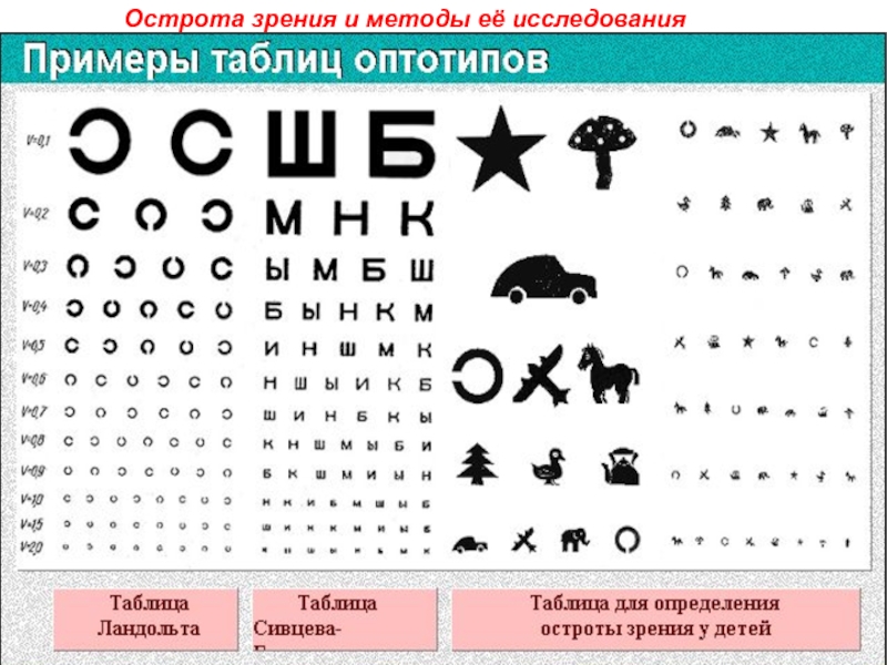 Анализ остроты зрения учащихся проект