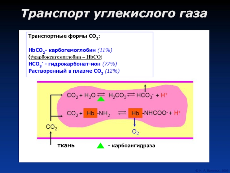 Карта углекислого газа