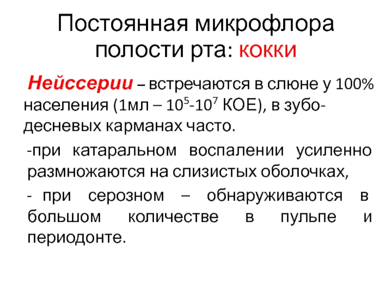 Микрофлора полости. Постоянная микрофлора полости рта. Микрофлора десневого кармана. Значение микрофлоры полости рта.