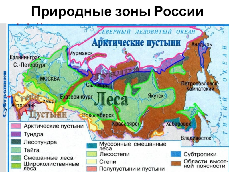 Природные Зоны России Раскраска (49 Фото)