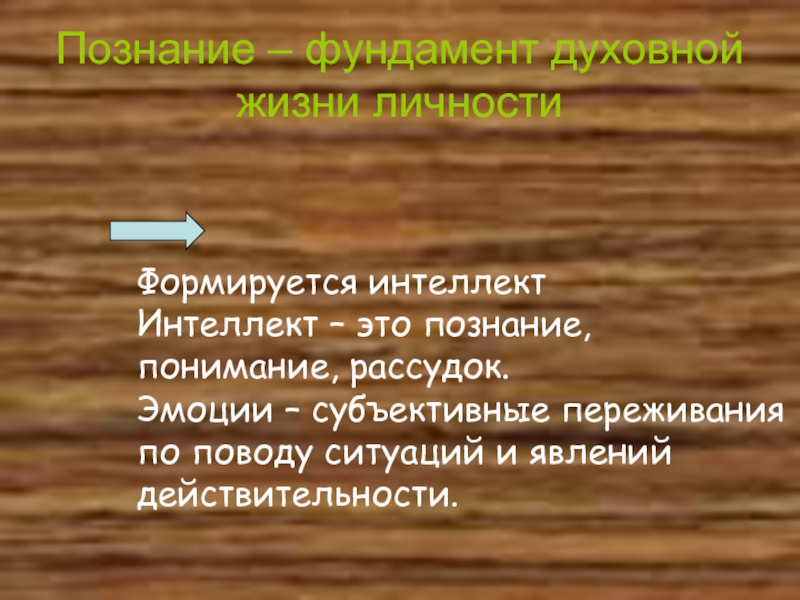 Субъективные переживания. Духовный фундамент. Фундаментом духовной жизни личности общества. Фундамент познания.