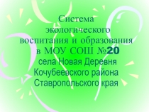 Система экологического воспитания и образования в МОУ СОШ №20