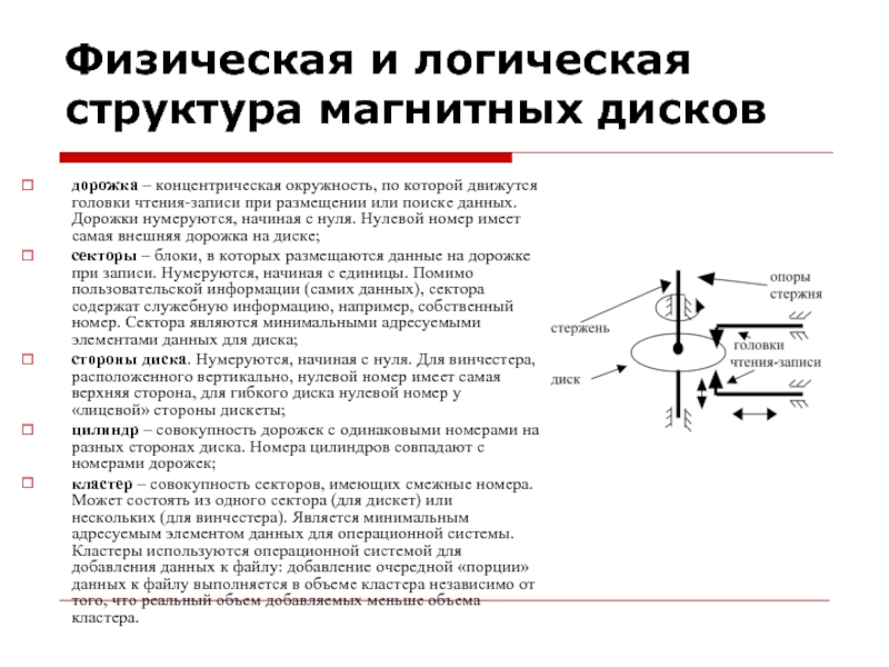 Физическая структура