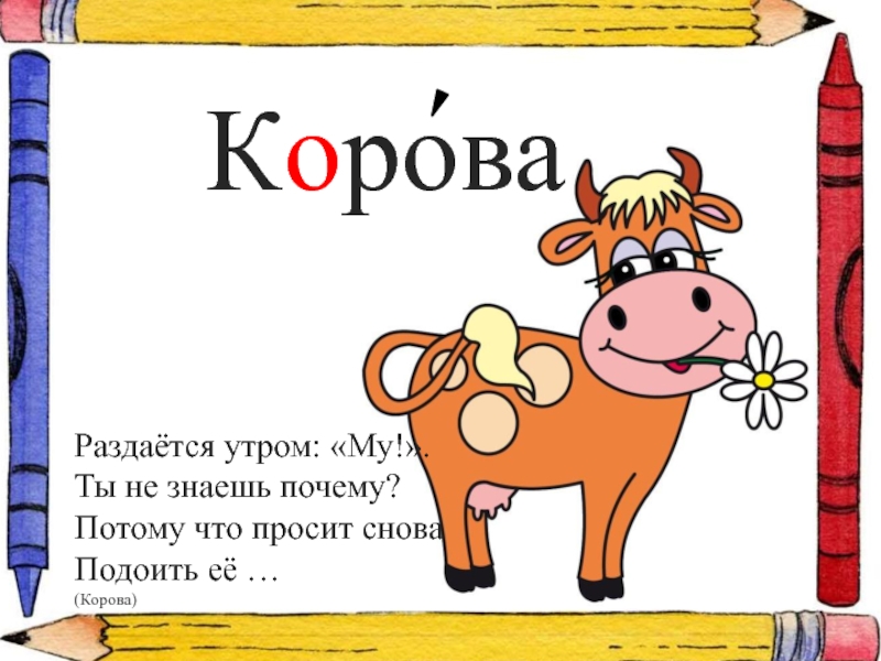 Польская корова песня текст