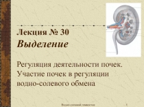 Лекция № 30 Выделение Регуляция деятельности почек. Участие почек в регуляции