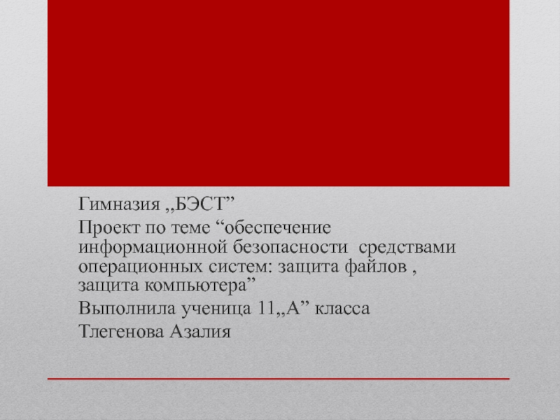 Гимназия,,БЭСТ ”
Проект по теме “ обеспечение информационной безопасности