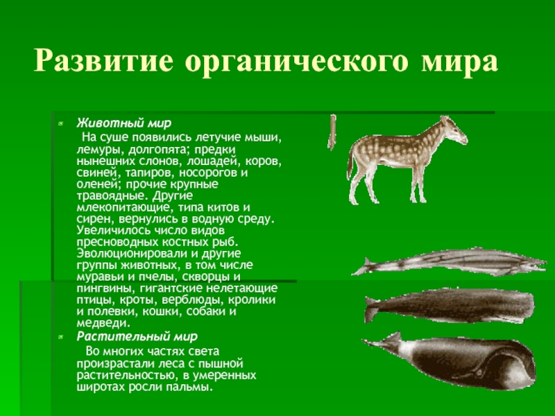 Эволюция органического мира презентация