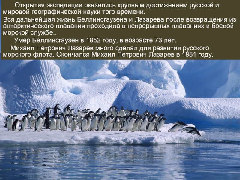 Как открыли антарктиду сообщение 7 класс география