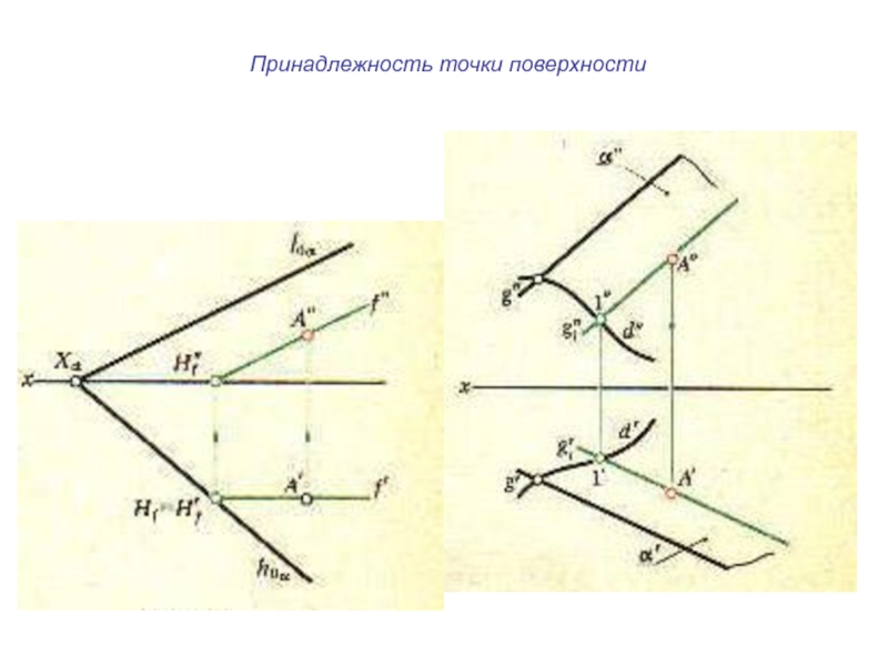 Точки поверхности. Принадлежность точки поверхности. Признак принадлежности точки поверхности. Задачи на принадлежность точки поверхности.. Задание поверхности. Принадлежность точки поверхности.