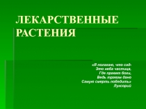 ЛЕКАРСТВЕННЫЕ РАСТЕНИЯ