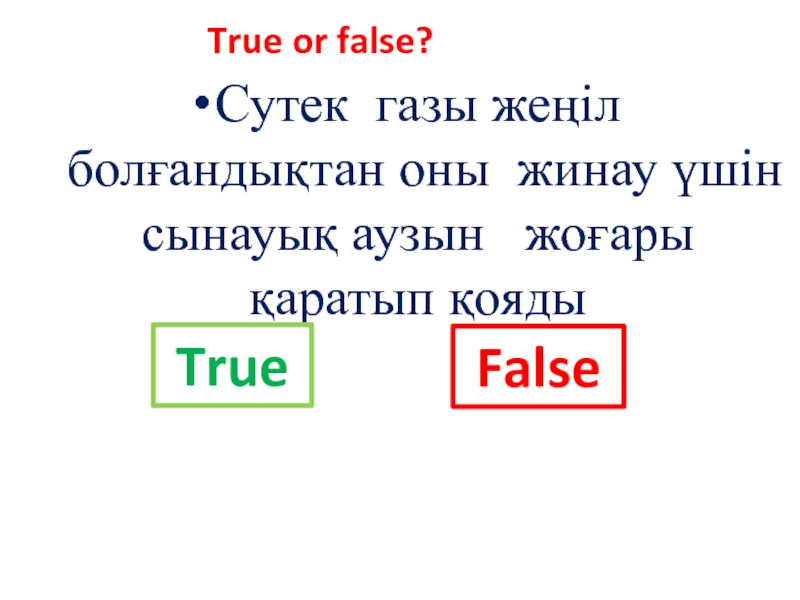 Предложения true false