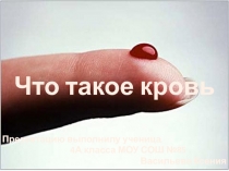 Что такое кровь