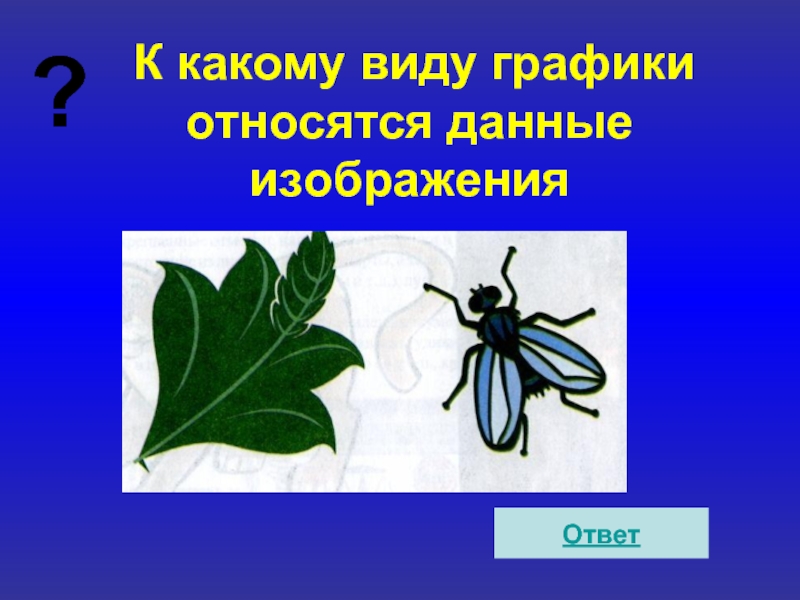 К какому виду графики относится рисунок