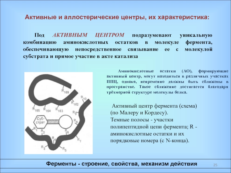 Характеристика активного