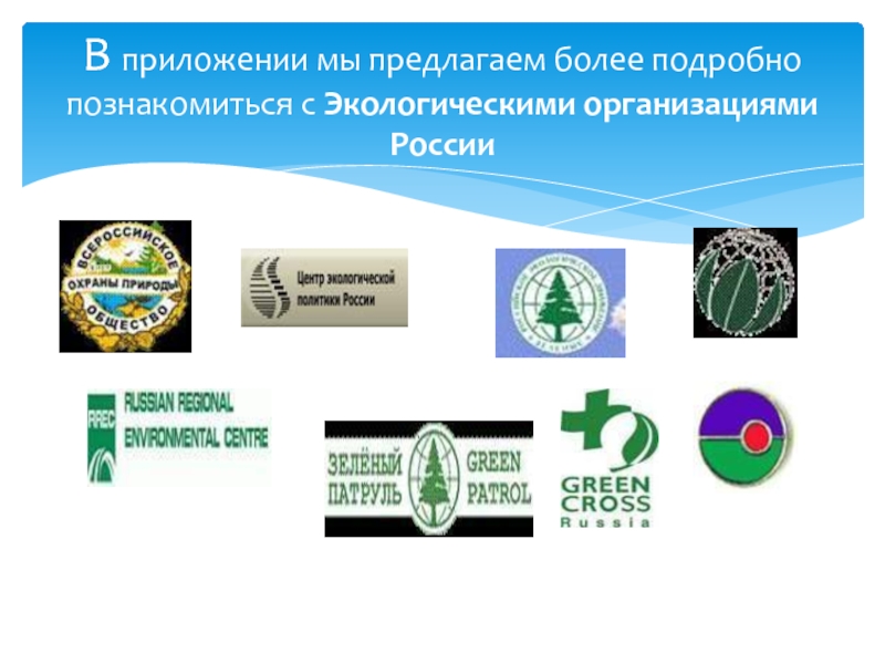 Региональные экологические организации