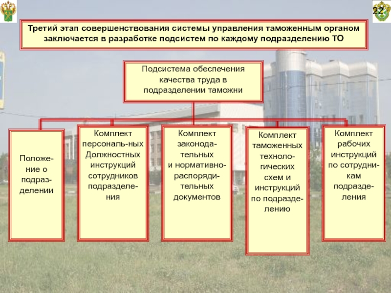 Модели управления таможенными органами