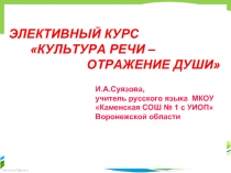 Акцентологические и орфоэпические нормы — Особенности русского ударения