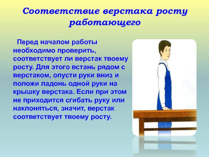 Перед началом работы следует проверить. Перед началом работы необходимо. Что необходимо проверить перед началом работы. Рабочее место и инструменты для ручной обработки древесины 5 класс. Высота верстака по отношению к росту работающего.