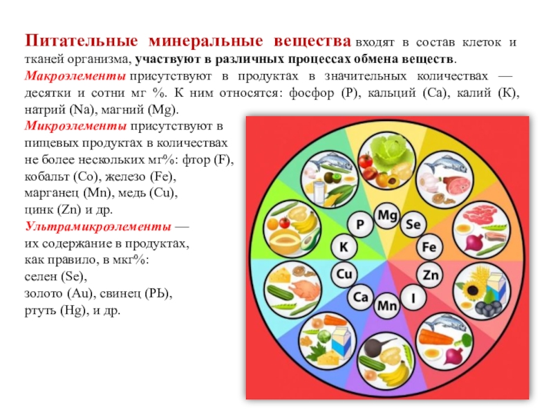 Макроэлементы клетки. Минеральные питательные вещества. Минеральные вещества клетки. Минеральные вещества входящие в состав клетки. Минеральные вещества состав.