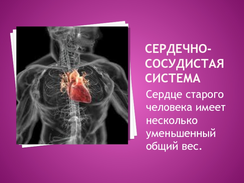 Сердце пожилых. Сердце старого человека. Вес сердца старого человека. Масса сердца пожилого человека. Дряхлое сердце человека.