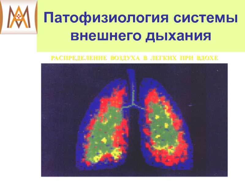 Патофизиология системы внешнего дыхания