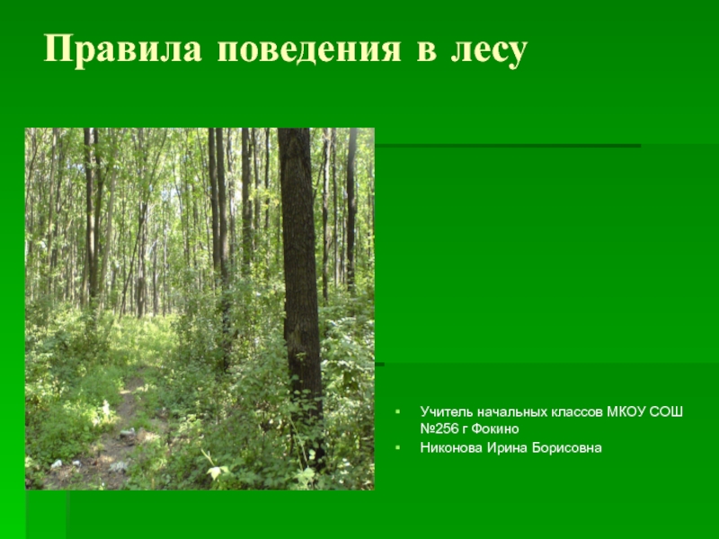 Презентация Правила поведения в лесу
