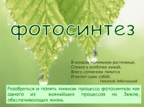 фотосинтез
В каждом маленьком растеньице,
Словно в колбочке живой,
Влага