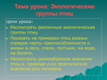 Экологические группы птиц