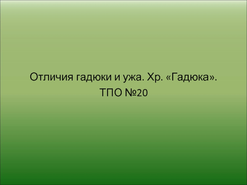 Отличие 25. Влияние растений друг на друга. Влияние растений друг на друга экология.